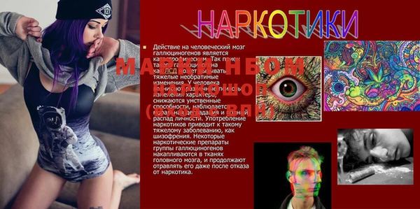 дмт Кукмор