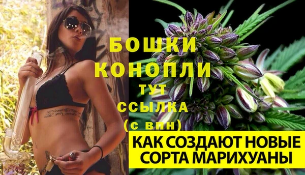 дмт Кукмор