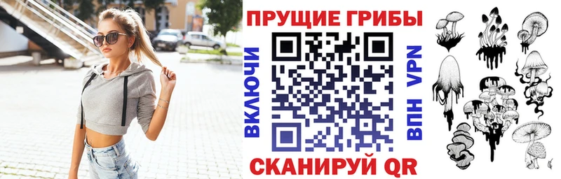 маркетплейс официальный сайт  Талица  Псилоцибиновые грибы ЛСД  продажа наркотиков 